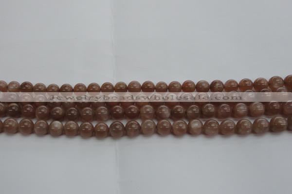 CMS1022 15.5 inches 8mm round AA grade moonstone gemstone beads