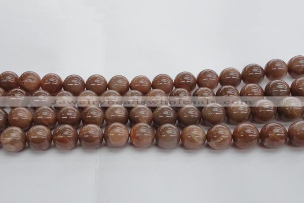 CMS1025 15.5 inches 14mm round AA grade moonstone gemstone beads