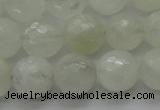 CMS1043 15.5 inches 10mm faceted round A grade white moonstone beads