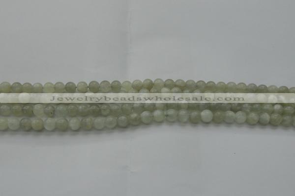 CMS1051 15.5 inches 6mm round grey moonstone beads wholesale