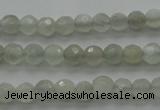 CMS1054 15.5 inches 4mm faceted round grey moonstone beads wholesale