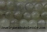 CMS1058 15.5 inches 8mm round grey moonstone beads wholesale