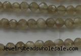 CMS1066 15.5 inches 4mm faceted round grey moonstone beads wholesale