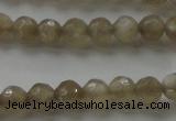 CMS1067 15.5 inches 6mm faceted round grey moonstone beads wholesale