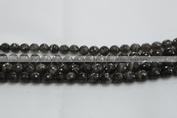 CMS1077 15.5 inches 10mm faceted round grey moonstone beads wholesale