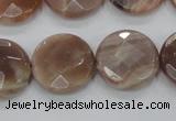 CMS113 15.5 inches 20mm faceted coin moonstone gemstone beads