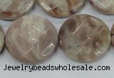 CMS114 15.5 inches 25mm faceted coin moonstone gemstone beads