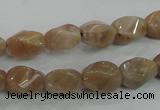 CMS118 15.5 inches 8*12mm twisted rice moonstone gemstone beads