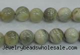 CMS121 15.5 inches 10mm round moonstone gemstone beads wholesale