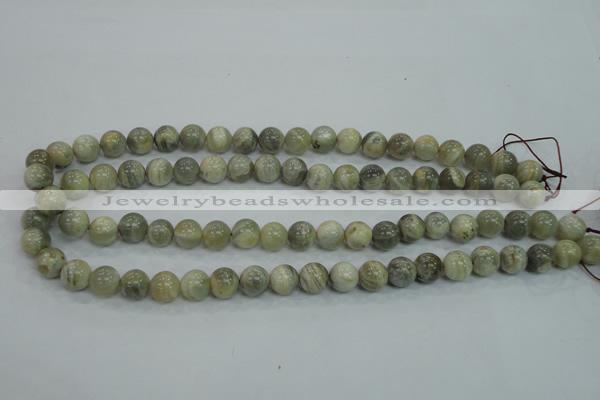 CMS121 15.5 inches 10mm round moonstone gemstone beads wholesale