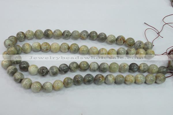 CMS122 15.5 inches 12mm round moonstone gemstone beads wholesale