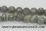 CMS124 15.5 inches 10mm faceted round moonstone gemstone beads