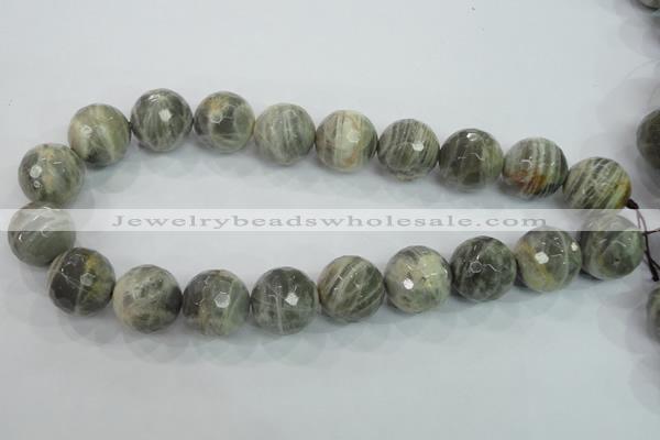 CMS127 15.5 inches 20mm faceted round moonstone gemstone beads