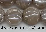 CMS1348 15.5 inches 12mm flat round AB-color moonstone beads