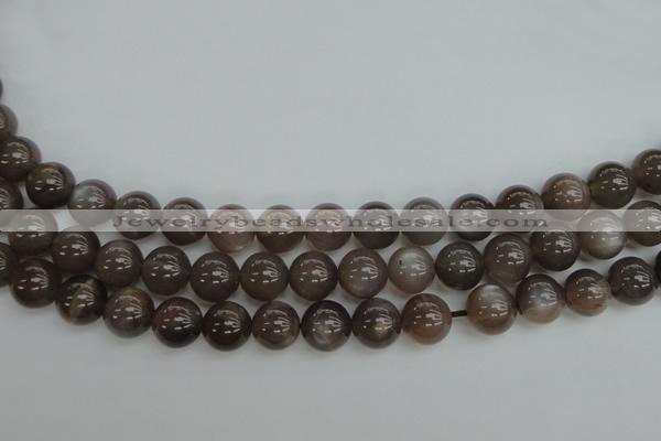 CMS142 15.5 inches 8mm round natural grey moonstone beads