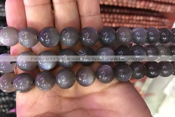 CMS1424 15.5 inches 12mm round black moonstone beads wholesale