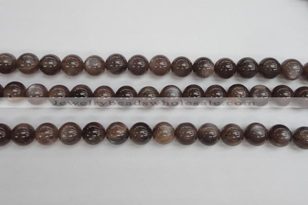 CMS143 15.5 inches 10mm round natural grey moonstone beads