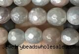 CMS1456 15.5 inches 6mm faceted round AB-color moonstone beads