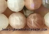 CMS1472 15.5 inches 10mm faceted round moonstone beads wholesale