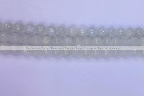 CMS1487 15.5 inches 8mm round white moonstone beads wholesale