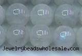 CMS1491 15.5 inches 8mm round white moonstone beads wholesale