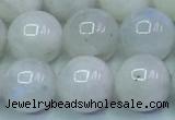 CMS1492 15.5 inches 10mm round white moonstone beads wholesale