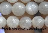 CMS1651 15.5 inches 6mm round grey moonstone beads wholesale