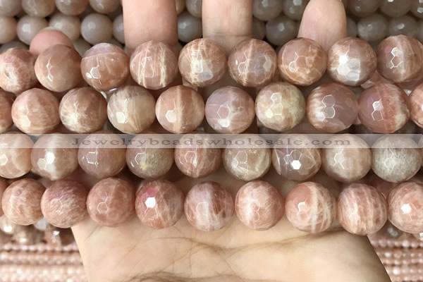 CMS1682 15.5 inches 14mm faceted round moonstone beads wholesale