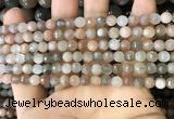 CMS1691 15.5 inches 4mm faceted round rainbow moonstone beads