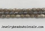 CMS1775 15.5 inches 8*12mm faceted rice AB-color moonstone beads