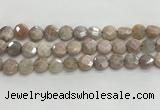 CMS1789 15.5 inches 10mm faceted coin AB-color moonstone beads