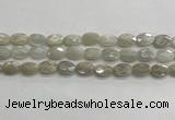 CMS1806 15.5 inches 8*12mm faceted oval AB-color moonstone beads