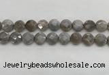 CMS1819 15.5 inches 14mm faceted coin AB-color moonstone beads