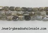 CMS1825 15.5 inches 12*16mm faceted rectangle AB-color moonstone beads