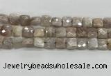 CMS1828 15.5 inches 12*12mm faceted square AB-color moonstone beads