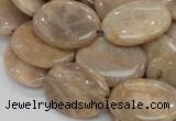 CMS19 15.5 inches 18*25mm oval moonstone gemstone beads wholesale