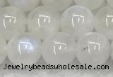 CMS1903 15.5 inches 10mm round white moonstone gemstone beads