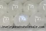 CMS1904 15.5 inches 12mm round white moonstone gemstone beads