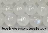 CMS1906 15.5 inches 6mm round white moonstone gemstone beads