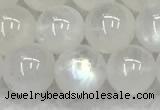 CMS1908 15.5 inches 10mm round white moonstone gemstone beads