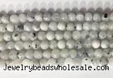 CMS2001 15.5 inches 8mm round white moonstone gemstone beads