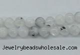 CMS201 15.5 inches 6mm round moonstone gemstone beads wholesale