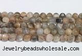 CMS2012 15.5 inches 10mm round moonstone gemstone beads