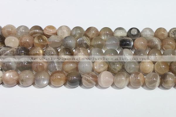 CMS2012 15.5 inches 10mm round moonstone gemstone beads