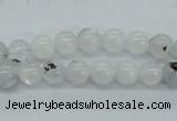 CMS202 15.5 inches 7mm round moonstone gemstone beads wholesale