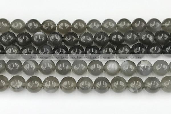 CMS2022 15.5 inches 10mm round black moonstone beads wholesale