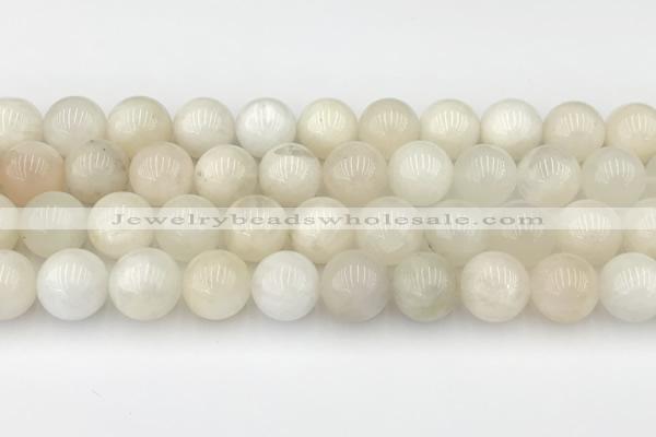 CMS2029 15.5 inches 10mm round white moonstone beads wholesale