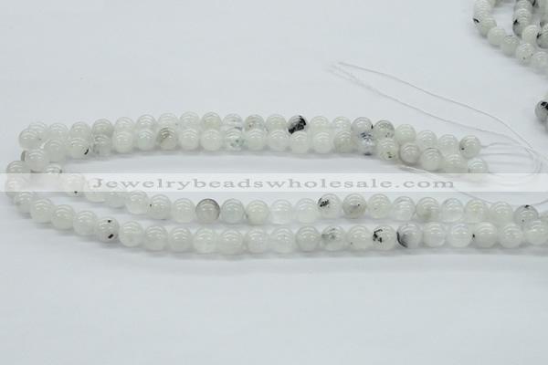 CMS203 15.5 inches 9mm round moonstone gemstone beads wholesale