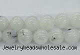 CMS204 15.5 inches 10mm round moonstone gemstone beads wholesale