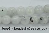 CMS205 15.5 inches 11mm round moonstone gemstone beads wholesale